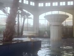 -仁爱团泊湖温泉中心