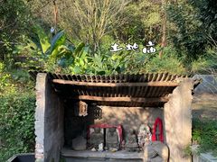 -南山植物园