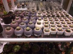 -KKV(深圳宏发大仟里店)