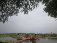 -洪湖生态旅游区