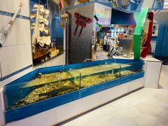 水产区-帝企鹅自助餐厅•儿童岛•真企鹅(长隆企鹅酒店)