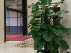 -南京银行(上海分行营业部)