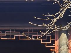 -苏州园林博物馆
