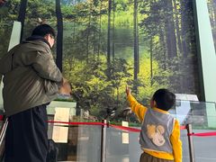 -房山世界地质公园博物馆