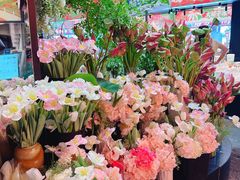 -山塘街