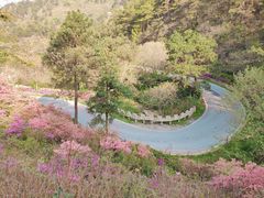 -木兰云雾山