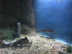 -苏州海洋馆