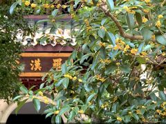 -宋宴(虎跑店)