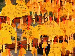 -无锡惠山寺
