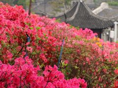 -老门东历史文化街区