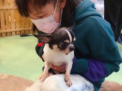 -藦茜花园宠物主题亲子互动体验馆(国顺东路店)