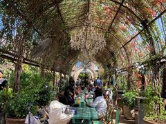 -The Grounds of Alexandria