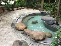 -青城道汤池
