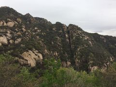 -大岭沟猕猴桃谷风景区