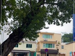 -安德鲁饼店(总店)