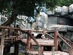 -泉州海丝野生动物世界