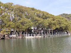 -白马涧龙池景区