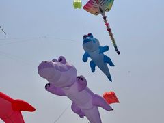 -潍坊滨海云门国际风筝放飞场