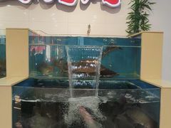 -屯老二农家铁锅炖·行业领军者(刘园店)