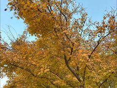 -苏州河梦清园环保主题公园