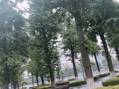 -百林公园-两江幸福广场
