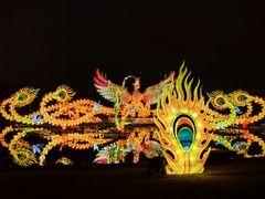 -武汉园博园(武汉自然博物馆)
