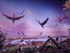 -中国湿地博物馆