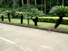 -南国桃园旅游度假区