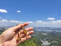 -灵顺寺