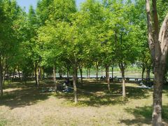 -东郊湿地公园