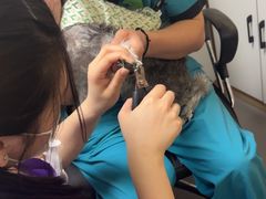-瑞派宠物医院·24h·骨外科·皮肤科·全科宠物医疗转诊中心(沈阳浑南院)