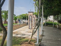 -碧海金沙
