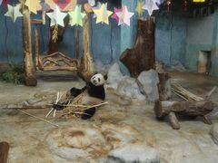 -海南热带野生动植物园