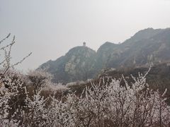 -北京凤凰岭