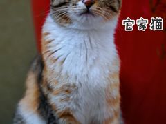 -德庆林厨房