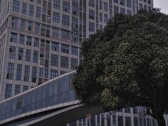 -红星国际广场