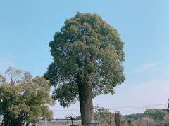 -韩湘水博园