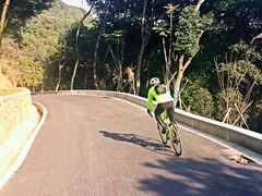 -杭州半山国家森林公园