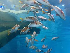 -福州罗源湾海洋世界旅游区