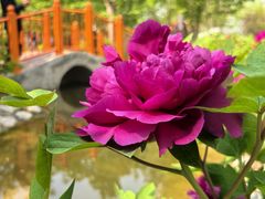-太阳宫公园