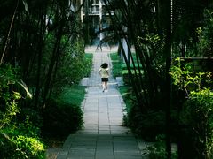 -燕晗山郊野公园