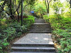 -燕晗山郊野公园