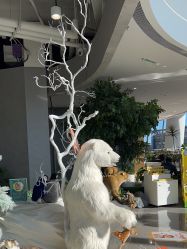 -IMON·HANSA潮玩玩偶毛绒玩具(通州万象汇店)