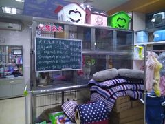 -动物缘宠物医院·骨科·猫科(西二环店)