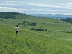 -塞罕坝国家级自然保护区