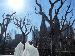 -徐家汇天主堂