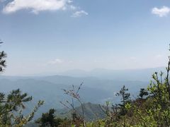 -王顺山国家森林公园