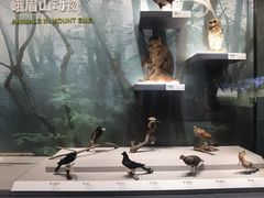 -四川大学博物馆