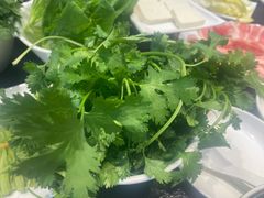 -红菇坊鲜汤火锅(淮河街店)