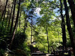 -王顺山国家森林公园